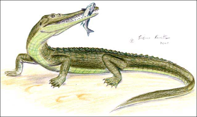 Mystriosuchus