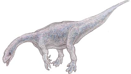 Plateosaurus