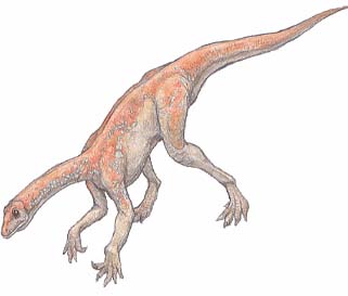 Thecodontosaurus