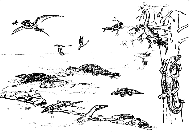 Marine and Terrestrial Reptiles of the Zorzino Limestone