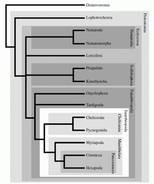 Telford et al 2008 fig 3