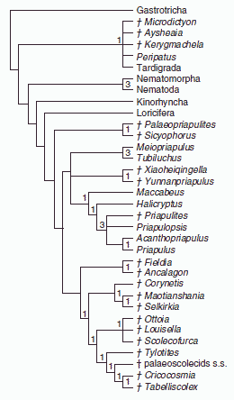 Harvey et al 2010 fig 4 E