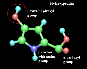 hydroxyproline.gif