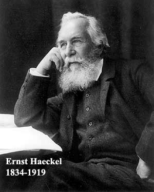 Ernst Haeckel