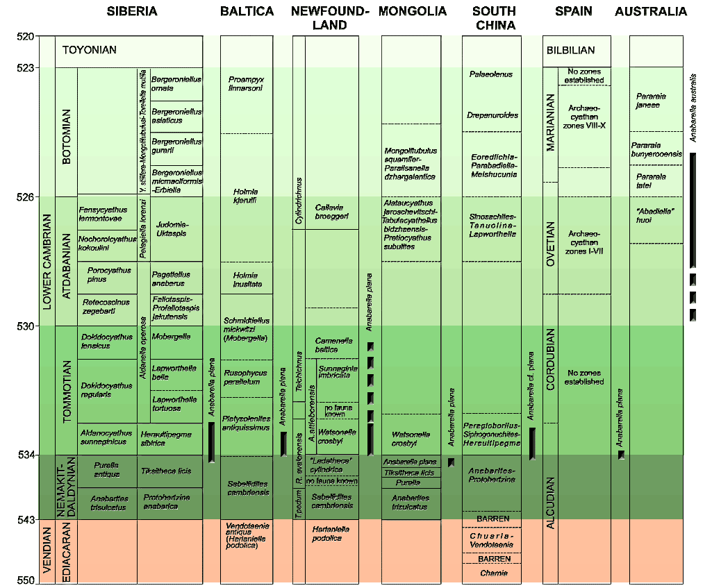 precambrian plants names