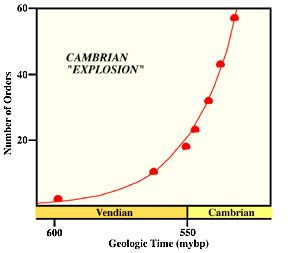 Cambrian explosion
