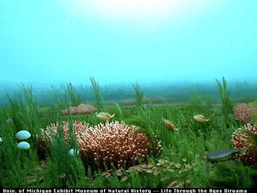 cambrian period plants