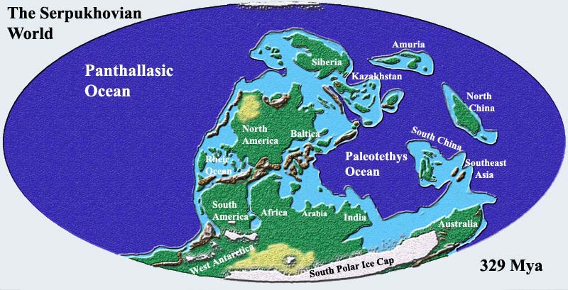 carboniferous period animal life