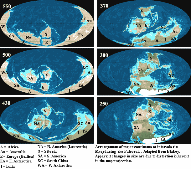 Continental positions in the Paleozoic