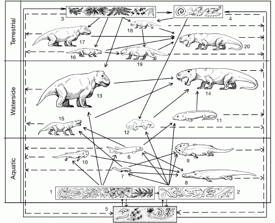 Reconstructed food web