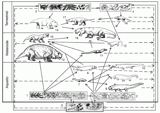 Reconstructed food web