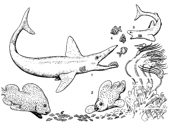 permian sea animals