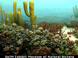 Permian reef scene - click here for larger image