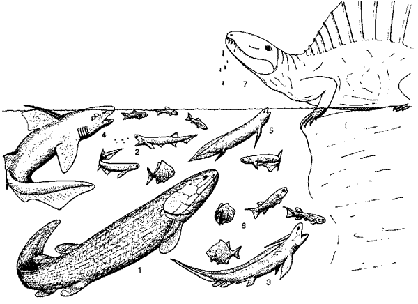 Witchita fish fauna - from Janvier, Early Vertebrates
