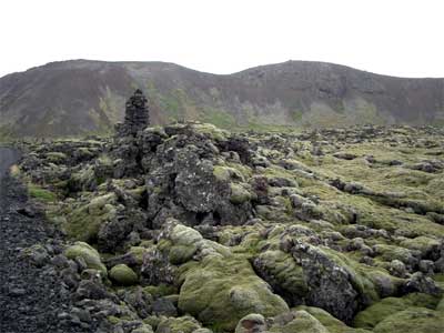 Moss on rocks -- Iceland