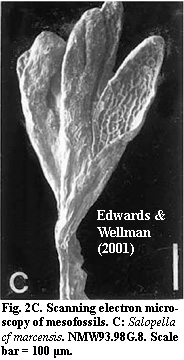 Edwards & Wellman (2001)