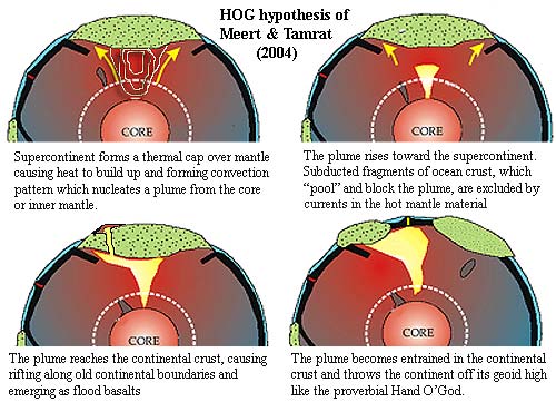 HOG hypothesis