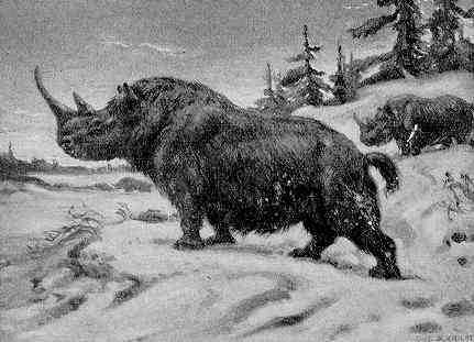 Pleistocene epoch: The last ice age