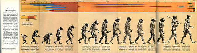 evolution of man with names