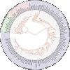 Molecular phylogeny