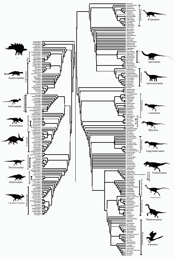 Dinosaur supertree, from Pisani et al 2002 p.918