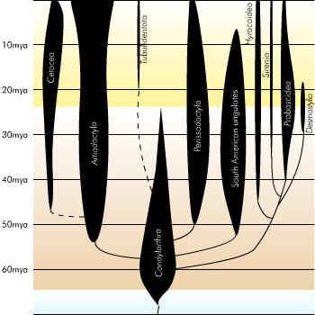 Evolution of the hoofed mammals