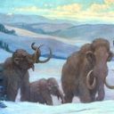 Woolly Mammoths