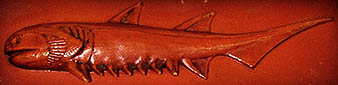 Palaeos Vertebrates Acanthodii: Ptomacanthus