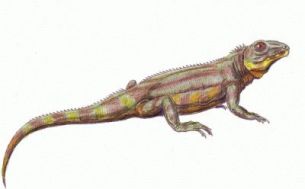 A bolosaurid, Belebey represented as a quadraped