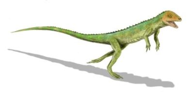 A bolosaurid, Eudibamus represented as a biped