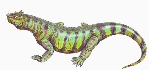 Rhipaeosaurus tricuspidens