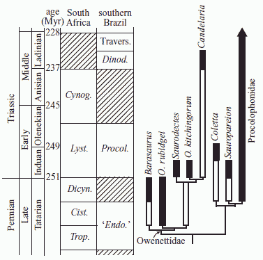 Stratocladogram of procolophonoid relationships