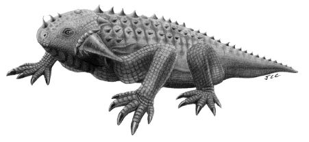 Life reconstruction of Procolophon trigoniceps from Cisneros 2006