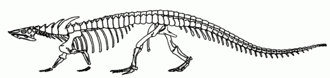 Desmatosuchus haploceros