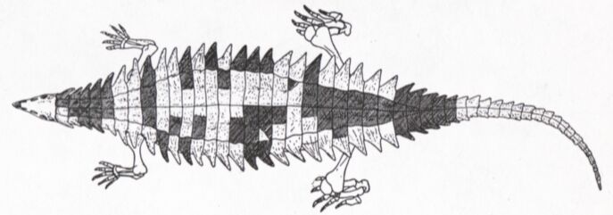 Longosuchus