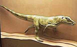 Ornithosuchus - model from the Elgin Museum