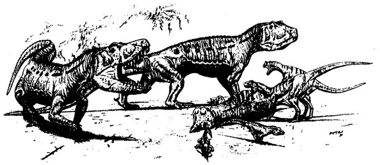 Triassic Archosauromorphs