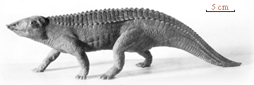 Aetosaurus arcuatus