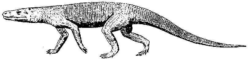 Ticinosuchus