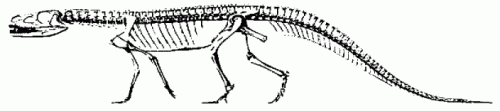 Ticinosuchus