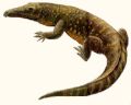 Proterosuchus