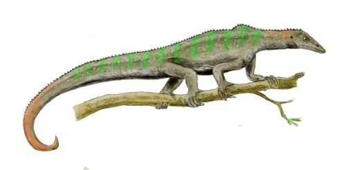 Palaeos Vertebrates Archosauromorpha Drepanosauridae