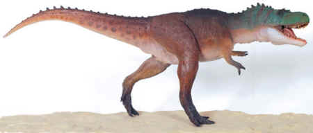 Albertosaurus model