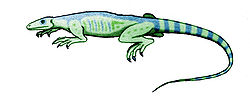 Thadeosaurus