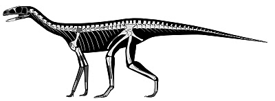 Asilisaurus kongwe