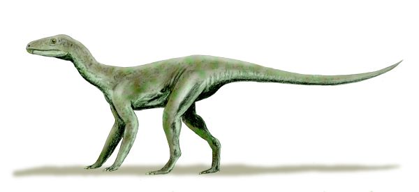 Silesaurus oploensis, artwork by Nobu Tamura