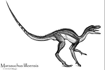 Marasuchus lilloensis - artwork by SH Morgan