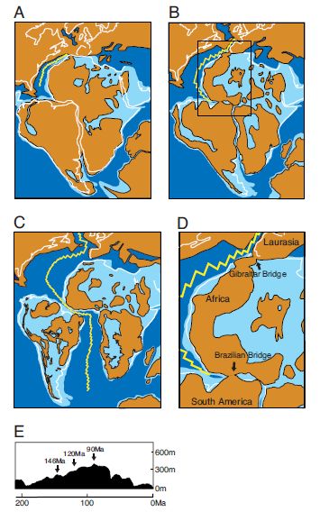Paleogeographic scenario for early Placental evolution by Nishihara et al 2009