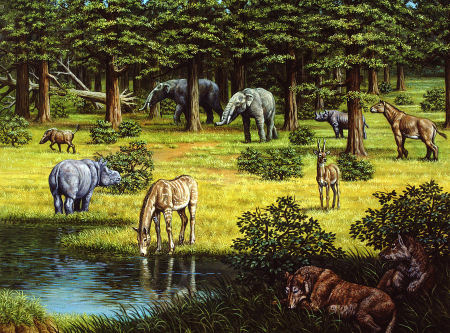 Miocene eutherians