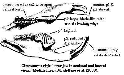 Cimoxomys